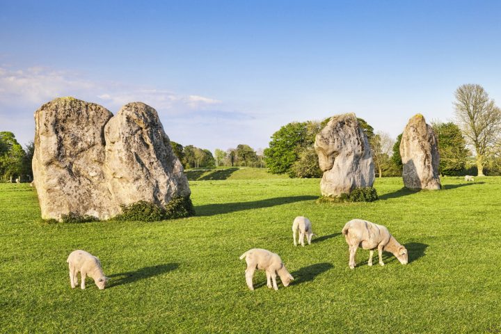 a group of sheep grazing on a lush green field with Avebury in the background