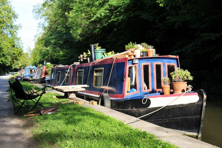 Colorful narrowboat with plants on top, moored along a tree-lined canal path.