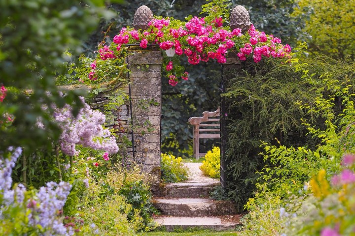 Garden archway with pink flowers leading to a bench, surrounded by colorful plants.