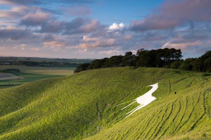 a person standing on a lush green field