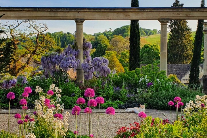a colorful flower garden in front of a building