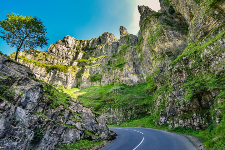 a rocky mountain with trees in the background