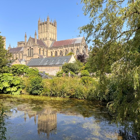 Gothic-style cathedral with a pond and lush greenery in the foreground on a sunny day.