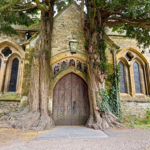 Ancient stone church entrance flanked by two large trees with arched windows.
