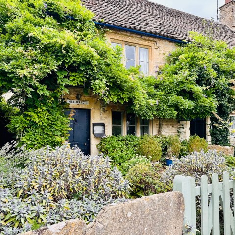 Cottage with lush greenery and overgrown wisteria, pale wooden gate in foreground.