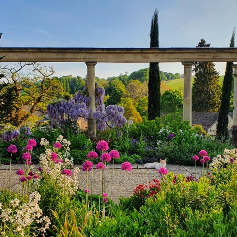 Garden with pink, purple flowers, columns, and distant hills under clear sky.